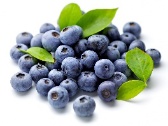 Blueberries
