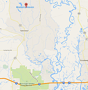 Blueberry Heaven Directions